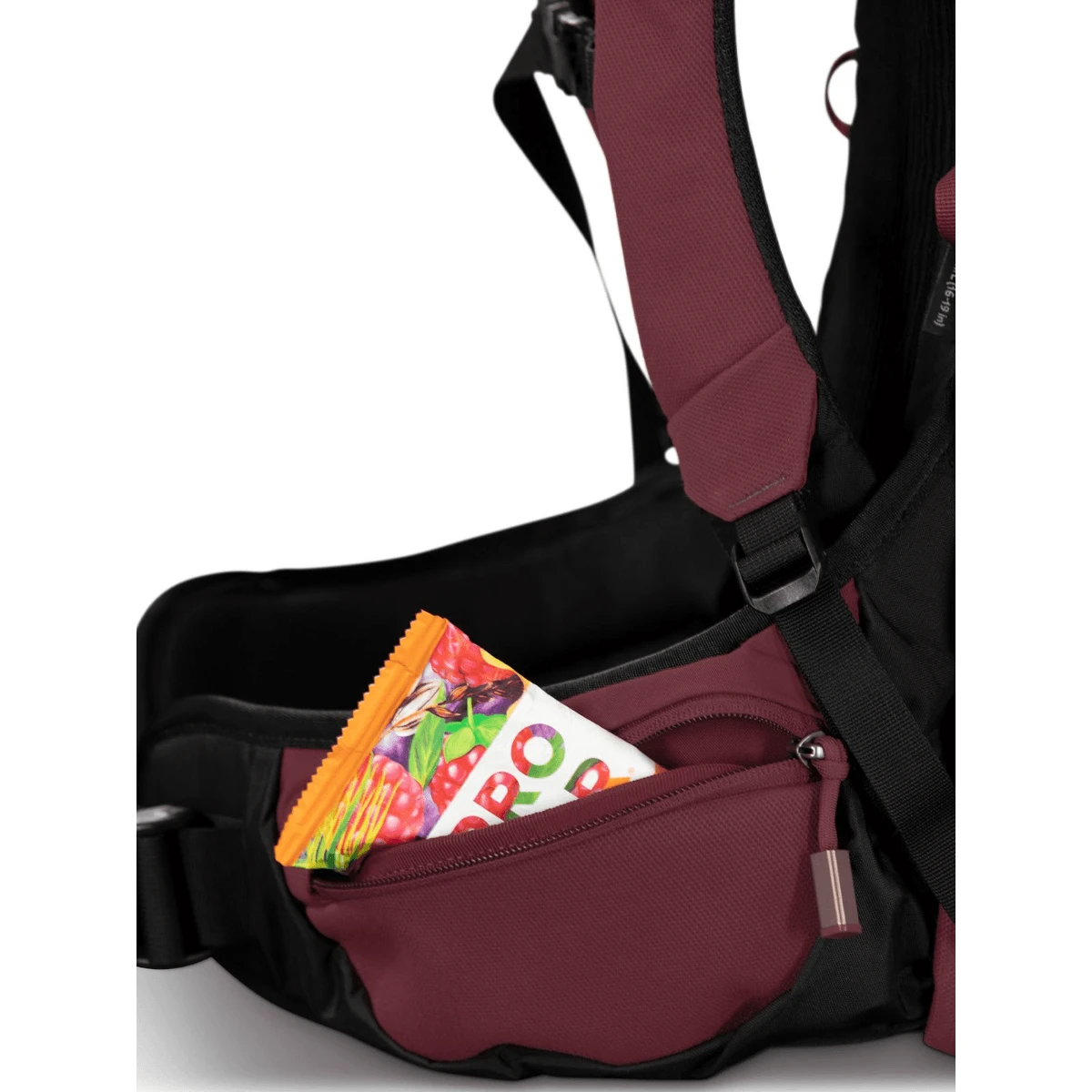 Osprey Archeon 45 Backpack - Women's 9 Osprey Archeon 45 Backpack - Women's - Image 7