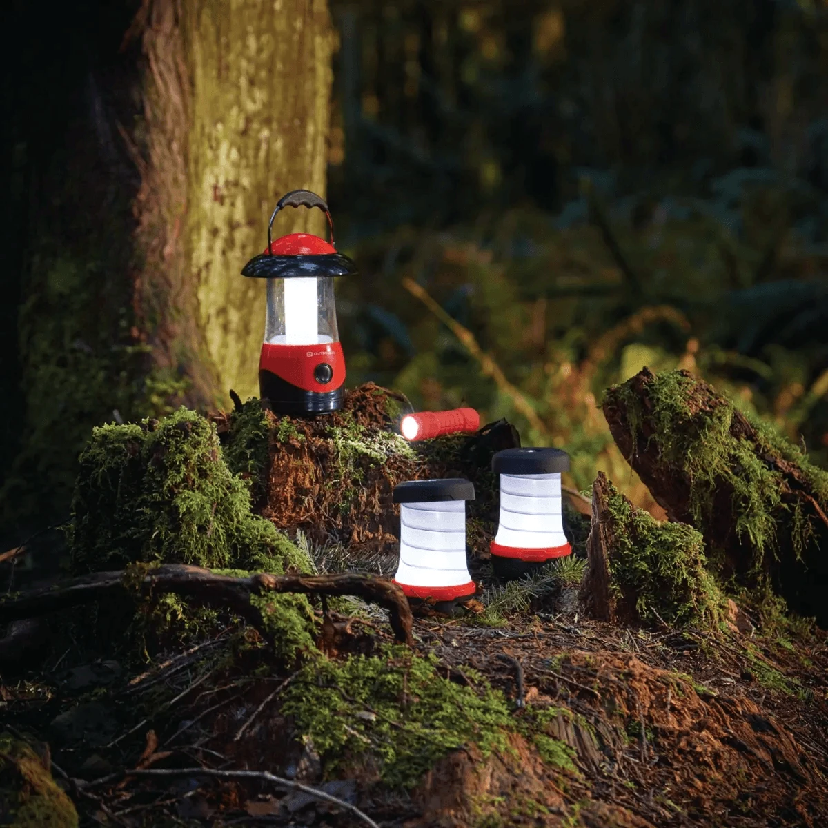 Outdoor Adventure Shop -Outdoor Adventure Shop 1604255 1200 auto