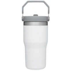 Stanley The IceFlow Flip Straw Tumbler - 20oz -Outdoor Adventure Shop 969747 1200 auto