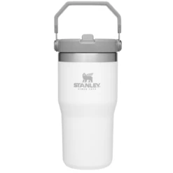 Stanley The IceFlow Flip Straw Tumbler - 20oz -Outdoor Adventure Shop Stanley Iceflow Flip Straw Tumbler